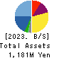 INTRANCE CO.,LTD. Balance Sheet 2023年3月期