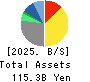 HS Holdings Co., Ltd. Balance Sheet 2025年Mar期 HS Holdings Co., Ltd. Balance Sheet 2025年3月期