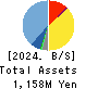 INTRANCE CO.,LTD. Balance Sheet 2024年3月期