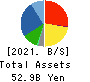 MARUICHI CO.,LTD. Balance Sheet 2021年3月期