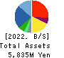 PHYZ Holdings Inc. Balance Sheet 2022年Mar期 PHYZ Holdings Inc. Balance Sheet 2022年3月期