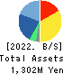 MICREED Co.,Ltd. Balance Sheet 2022年Mar期 MICREED Co.,Ltd. Balance Sheet 2022年3月期