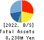 COVER Corporation Balance Sheet 2022年Mar期 COVER Corporation Balance Sheet 2022年3月期