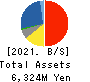 ONKYO HOME ENTERTAINMENT CORPORATION Balance Sheet 2021年3月期