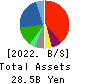 Kakuyasu Group Co., Ltd. Balance Sheet 2022年Mar期 Kakuyasu Group Co., Ltd. Balance Sheet 2022年3月期