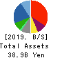 SHiDAX CORPORATION Balance Sheet 2019年Mar期 SHiDAX CORPORATION Balance Sheet 2019年3月期