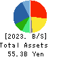 MARUICHI CO.,LTD. Balance Sheet 2023年3月期