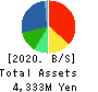 PIXEL COMPANYZ INC. Balance Sheet 2020年Dec期 PIXEL COMPANYZ INC. Balance Sheet 2020年12月期