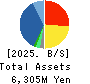Stream Co.,Ltd. Balance Sheet 2025年1月期