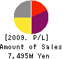 UMC JAPAN Profit and Loss Account 2009年12月期