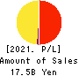 Net Protections Holdings,Inc. Profit and Loss Account 2021年Mar期 Net Protections Holdings,Inc. Profit and Loss Account 2021年3月期