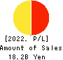Net Protections Holdings,Inc. Profit and Loss Account 2022年Mar期 Net Protections Holdings,Inc. Profit and Loss Account 2022年3月期