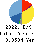 ANYCOLOR Inc. Balance Sheet 2022年Apr期 ANYCOLOR Inc. Balance Sheet 2022年4月期