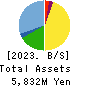 Institute for Q-shu Pioneers of Space Balance Sheet 2023年5月期