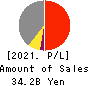 TESS Holdings Co.,Ltd. Profit and Loss Account 2021年Jun期 TESS Holdings Co.,Ltd. Profit and Loss Account 2021年6月期