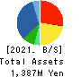 SHINTO Holdings,Inc. Balance Sheet 2021年1月期