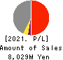 Serverworks Co.,Ltd. Profit and Loss Account 2021年2月期