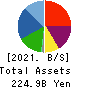 Japan Display Inc. Balance Sheet 2021年3月期