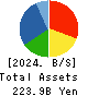 Japan Display Inc. Balance Sheet 2024年3月期