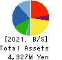 DM Solutions Co.,Ltd Balance Sheet 2021年Mar期 DM Solutions Co.,Ltd Balance Sheet 2021年3月期