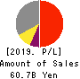 TOSEI CORPORATION Profit and Loss Account 2019年11月期