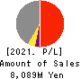 Techno Smart Corp. Profit and Loss Account 2021年Mar期 Techno Smart Corp. Profit and Loss Account 2021年3月期