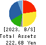 Japan Display Inc. Balance Sheet 2023年3月期