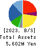 DM Solutions Co.,Ltd Balance Sheet 2023年Mar期 DM Solutions Co.,Ltd Balance Sheet 2023年3月期
