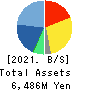 geechs inc. Balance Sheet 2021年3月期