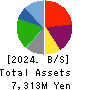 VIA Holdings,Inc. Balance Sheet 2024年Mar期 VIA Holdings,Inc. Balance Sheet 2024年3月期