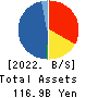 TOMEN DEVICES CORPORATION Balance Sheet 2022年3月期