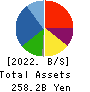 Japan Display Inc. Balance Sheet 2022年3月期