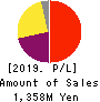 Temairazu, Inc. Profit and Loss Account 2019年6月期