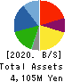 DM Solutions Co.,Ltd Balance Sheet 2020年Mar期 DM Solutions Co.,Ltd Balance Sheet 2020年3月期