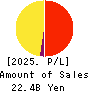 Net Protections Holdings,Inc. Profit and Loss Account 2025年Mar期 Net Protections Holdings,Inc. Profit and Loss Account 2025年3月期