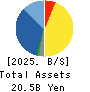 Remixpoint, inc. Balance Sheet 2025年Mar期 Remixpoint, inc. Balance Sheet 2025年3月期