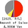 Giken Holdings Co.,Ltd. Profit and Loss Account 2025年3月期