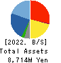 HIRAYAMA HOLDINGS Co.,Ltd. Balance Sheet 2022年6月期