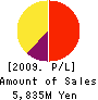 FX PRIME by GMO Corporation Profit and Loss Account 2009年3月期