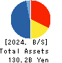 TOMEN DEVICES CORPORATION Balance Sheet 2024年3月期