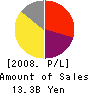 C&I Holdings Co., Ltd. Profit and Loss Account 2008年12月期