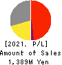 Datasection Inc. Profit and Loss Account 2021年Mar期 Datasection Inc. Profit and Loss Account 2021年3月期
