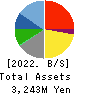 TAYA Co.,Ltd. Balance Sheet 2022年Mar期 TAYA Co.,Ltd. Balance Sheet 2022年3月期