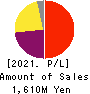 Temairazu, Inc. Profit and Loss Account 2021年6月期