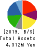 DM Solutions Co.,Ltd Balance Sheet 2019年Mar期 DM Solutions Co.,Ltd Balance Sheet 2019年3月期