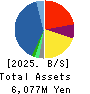 IK HOLDINGS Co.,Ltd. Balance Sheet 2025年5月期
