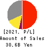 TECHMATRIX CORPORATION Profit and Loss Account 2021年Mar期 TECHMATRIX CORPORATION Profit and Loss Account 2021年3月期