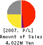 E-SYSTEM CORPORATION Profit and Loss Account 2007年12月期