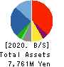 YAMANO HOLDINGS CORPORATION Balance Sheet 2020年3月期