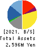 SIG Group Co.,Ltd. Balance Sheet 2021年3月期